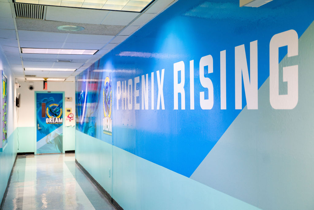 Branded corridor system repeated across a floor
